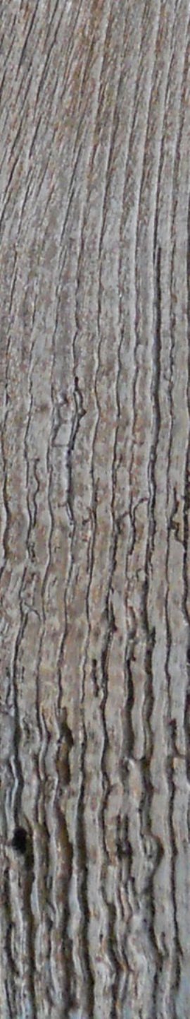 Particolare del legno
